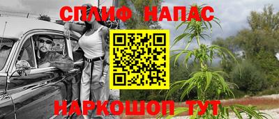 шишки Славгород