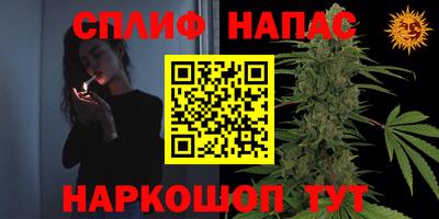 шишки Славгород