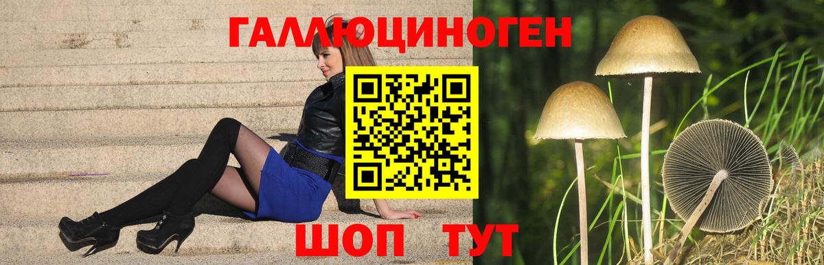 Псилоцибиновые грибы Magic Shrooms  Вход с VPN  Нижнекамск 